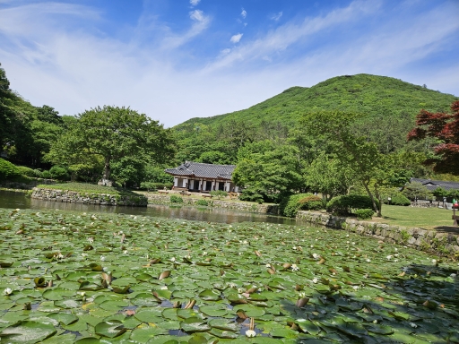 연못과 정자, 푸른 산이 있는 아름다운 풍경